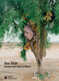 Ron Amir - Quelque part dans le désert