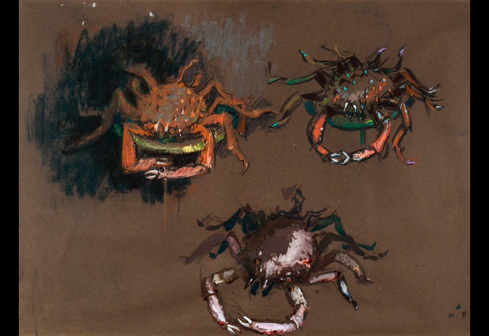 Trois araignées de mer « Sortie de p... », VII 76, 1976